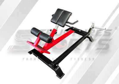 Máquinas de Gym- HIPER EXTENSIÓN DE LUMBAR CON BRAZO